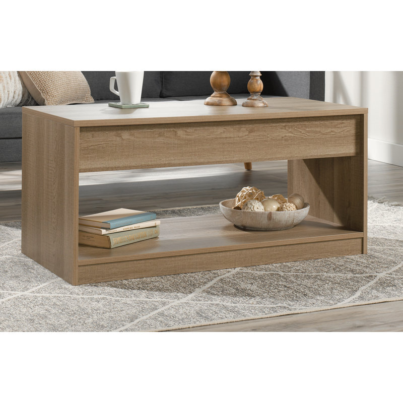 Latitude Run® Aevry Lift Top Floor Shelf Coffee Table with Storage